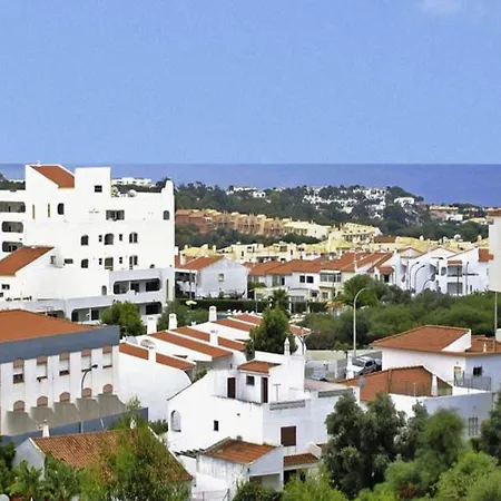 Cheerfulway Minichoro