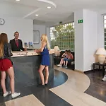Cheerfulway Minichoro